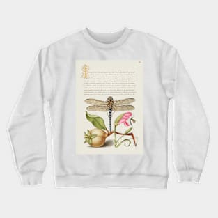 Antique 16th Century Calligraphy with Dragonfly and Flora Crewneck Sweatshirt